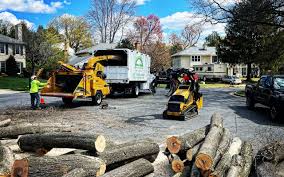 Best Arborist Consultation Services  in Shoreacres, TX