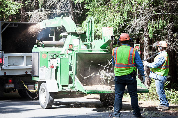 Best Weed Control  in Shoreacres, TX